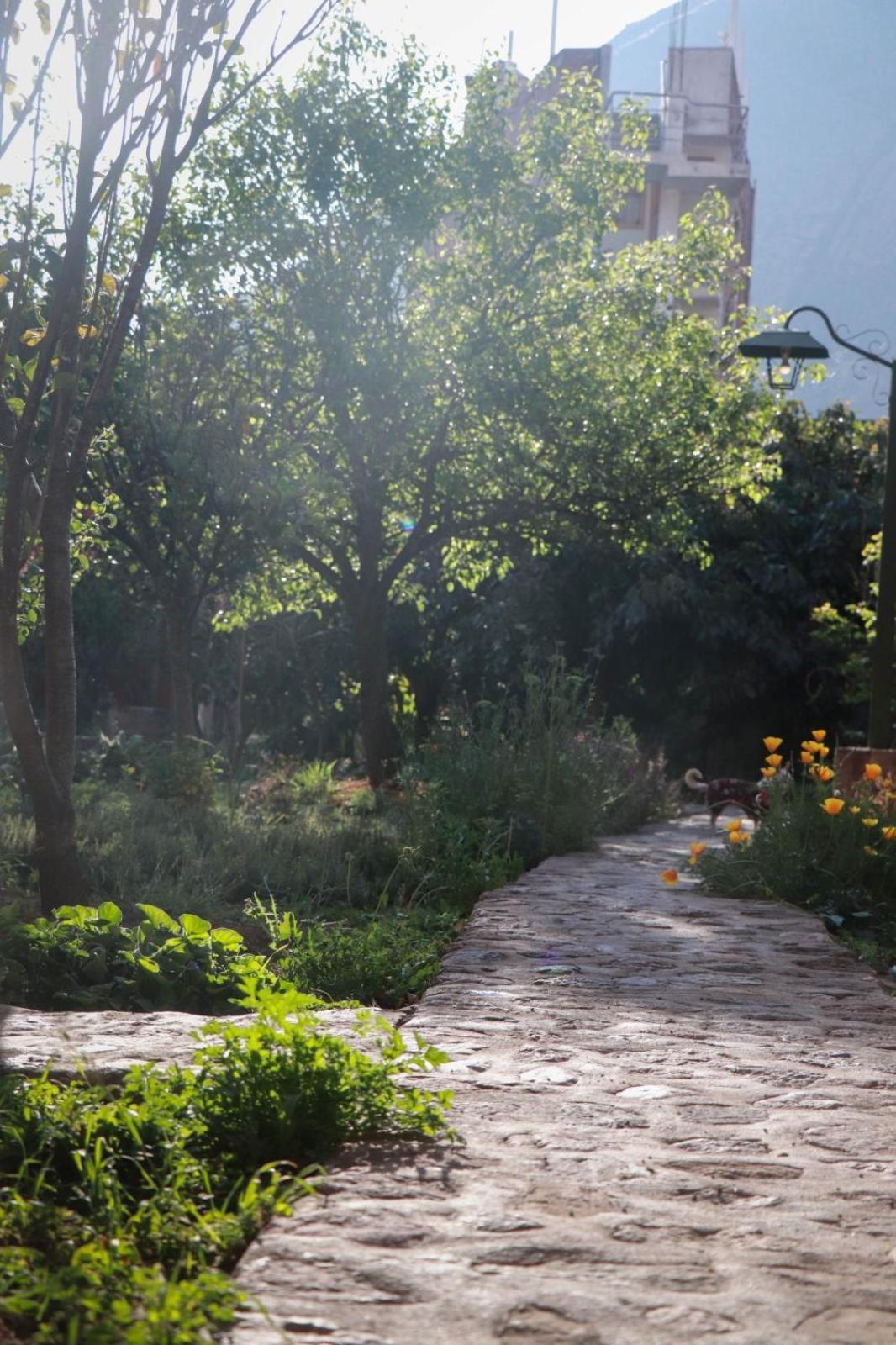Casa De Aida Διαμέρισμα Calca Εξωτερικό φωτογραφία