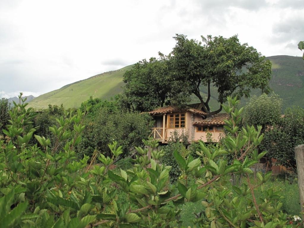 Casa De Aida Διαμέρισμα Calca Εξωτερικό φωτογραφία