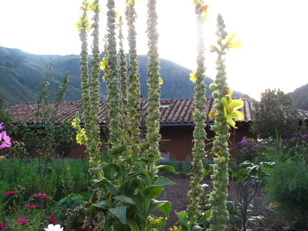 Casa De Aida Διαμέρισμα Calca Εξωτερικό φωτογραφία