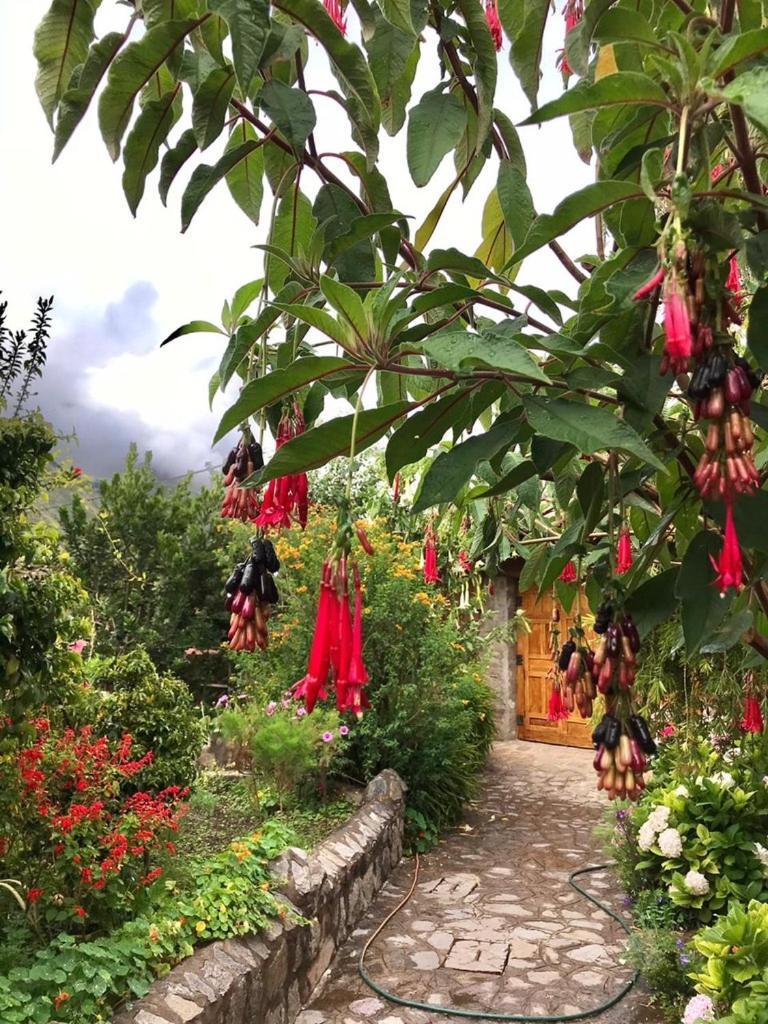 Casa De Aida Διαμέρισμα Calca Εξωτερικό φωτογραφία